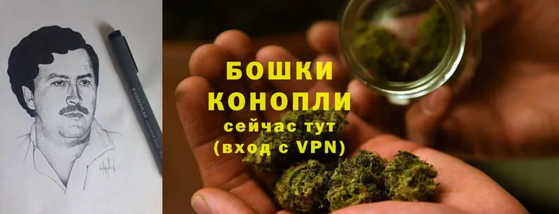 Бошки марихуана SATIVA & INDICA  закладка  Петровск-Забайкальский 